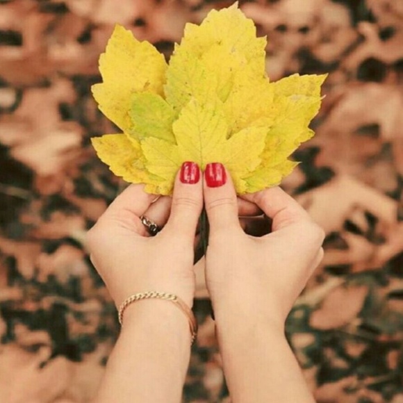 Meet your Posher, Sera - Picture 1 of 1